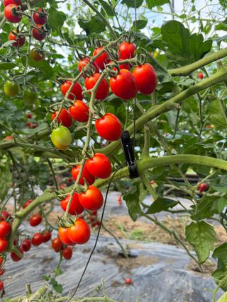 연재홍님의 자유주제 · 자유게시판 작성글 사진