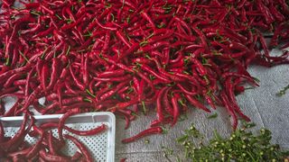 망치님의 자유주제 · 자유게시판 작성글 사진