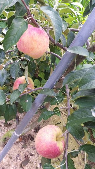 콩13563님의 자유주제 · 자유게시판 작성글 사진