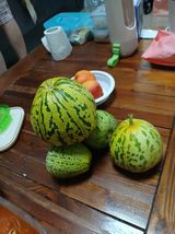 팜모닝 자유주제·자유게시판 게시글 이미지