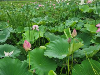 김재현님의 자유주제 · 자유게시판 작성글 사진