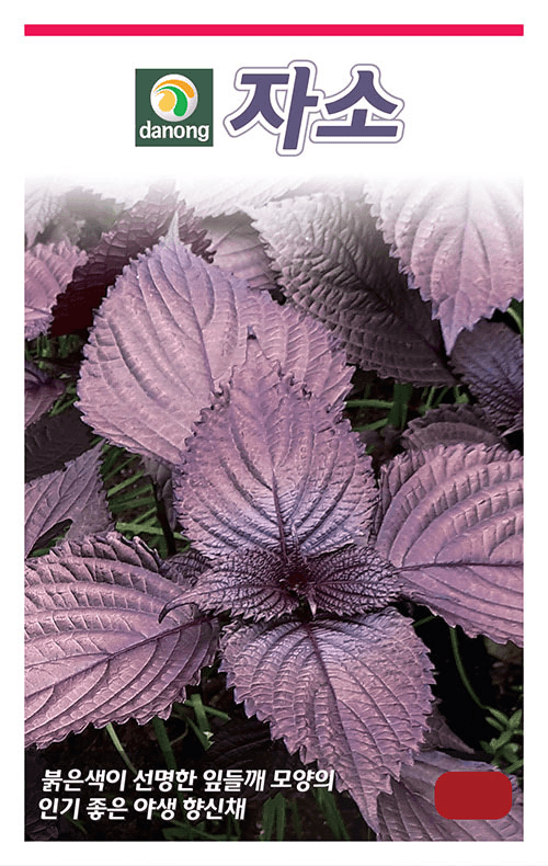 주주씨앗님의 장터 판매 상품 [[다농] 자소 2g / 일본깻잎 시소, 차조기 씨앗 / 적자소 종자] 첨부 사진