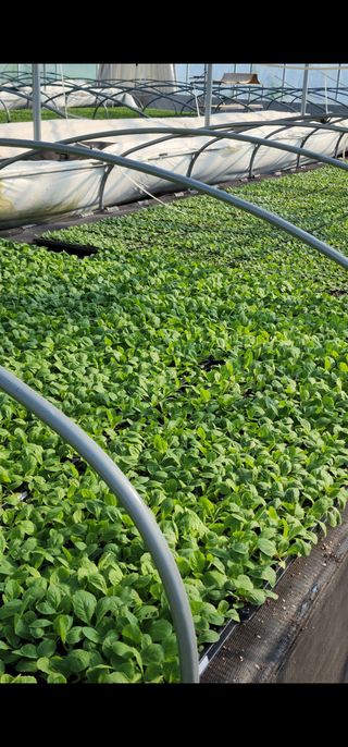 정대장님의 작성글 사진