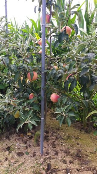 콩13563님의 자유주제 · 자유게시판 작성글 사진