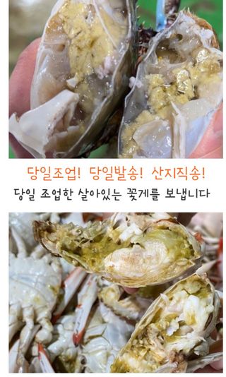 농수사님의 작성글 사진