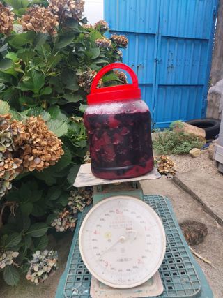 김효동님의 작성글 사진