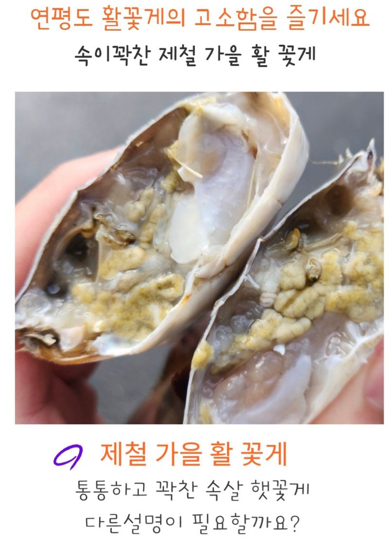 농수사님의 장터 판매 상품 [서해 연평도 제철 가을 햇 활꽃게 1kg] 첨부 사진