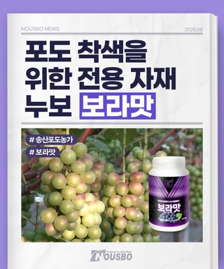 누보농장님의 자유주제 · 자유게시판 작성글 사진