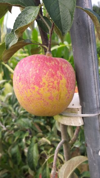 콩13563님의 자유주제 · 자유게시판 작성글 사진