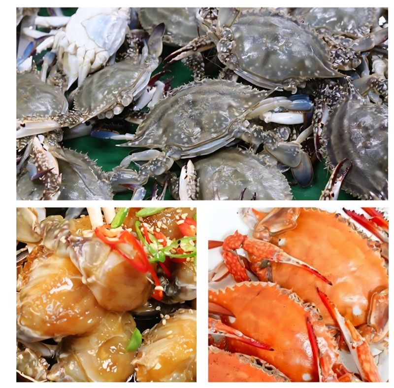 농수사님의 장터 판매 상품 [서해 연평도 제철 가을 햇 활꽃게 1kg] 첨부 사진