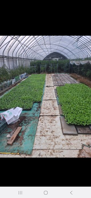 김충구내 집 예쁘게님의 자유주제 · 자유게시판 작성글 사진