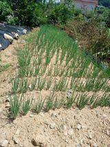 팜모닝 자유주제·건의해요 게시글 이미지