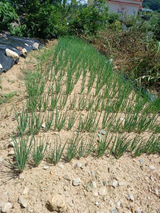 제주할아범님의 자유주제 · 건의해요 작성글 사진