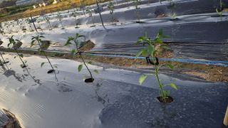 망치님의 자유주제 · 자유게시판 작성글 사진