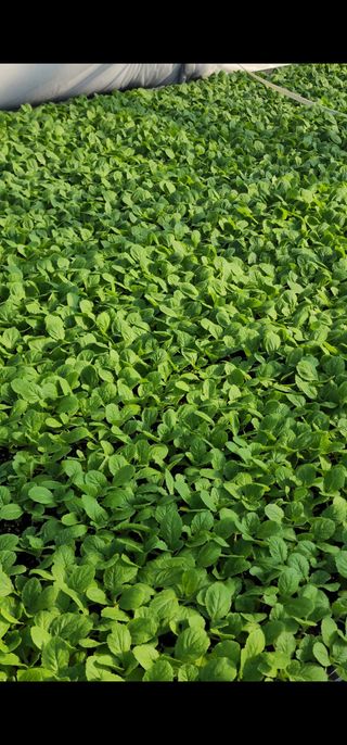 정대장님의 작성글 사진