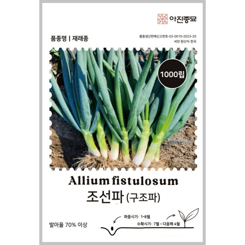 주주씨앗님의 장터 판매 상품 [김장채소 씨앗 3종 세트 / 청두골드, 장생3호, 조선파 / 당근 씨앗, 김장무 씨앗, 김장배추 씨앗] 첨부 사진