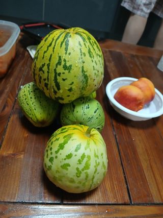 팜모닝회원 최창락 님의 자유주제 · 자유게시판 작성글 사진