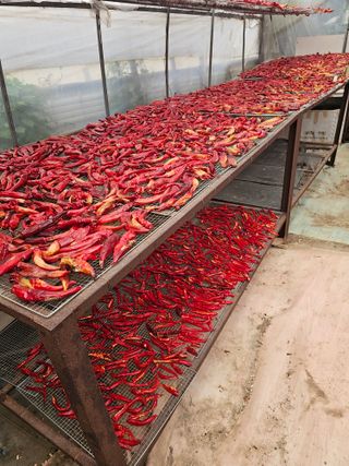 강성산님의 자유주제 · 자유게시판 작성글 사진