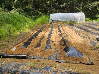 민민농원님의 자유주제 · 자유게시판 작성글 사진