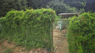 망치님의 자유주제 · 자유게시판 작성글 사진