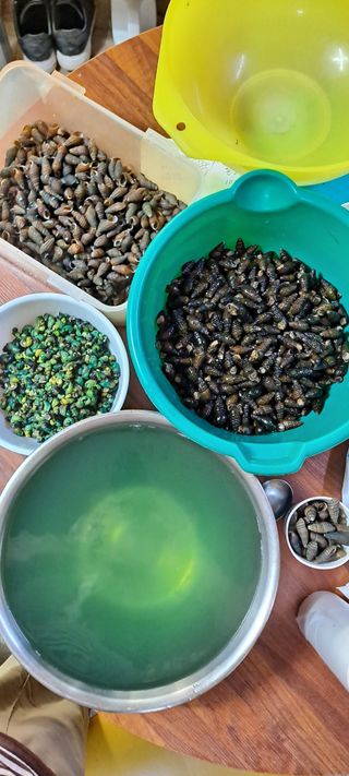 백순분님의 작성글 사진