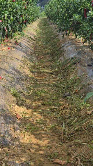 망치님의 자유주제 · 자유게시판 작성글 사진