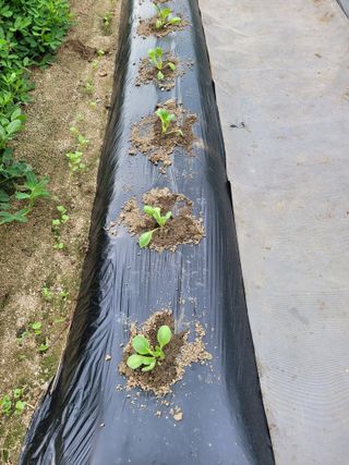 땅땅님의 자유주제 · 자유게시판 작성글 사진