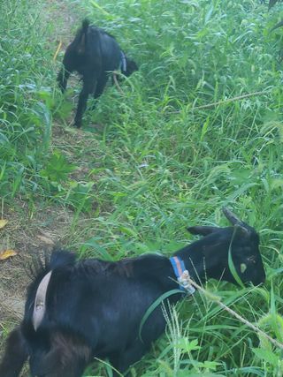 (천지산)님의 자유주제 · 자유게시판 작성글 사진