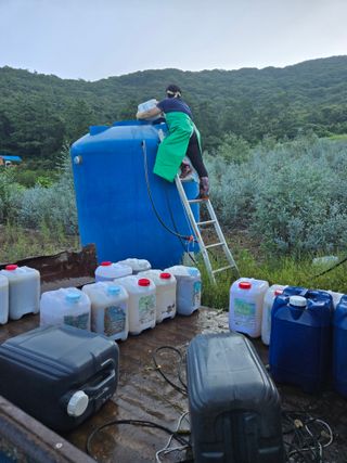 고추농사 정 미라님의 자유주제 · 자유게시판 작성글 사진