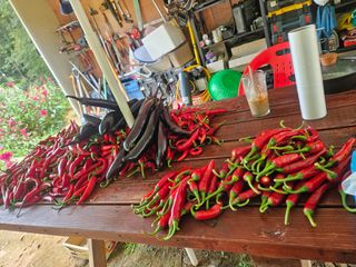 민민농원님의 자유주제 · 자유게시판 작성글 사진