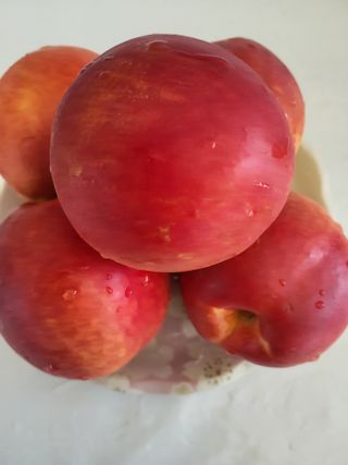 이연화님의 자유주제 · 자유게시판 작성글 사진