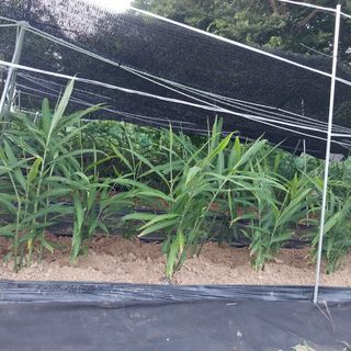 해안로님의 자유주제 · 자유게시판 작성글 사진