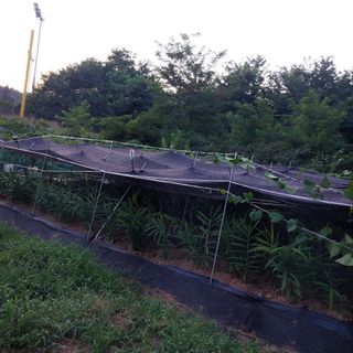 해안로님의 자유주제 · 자유게시판 작성글 사진