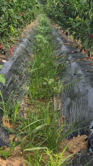 망치님의 자유주제 · 자유게시판 작성글 사진