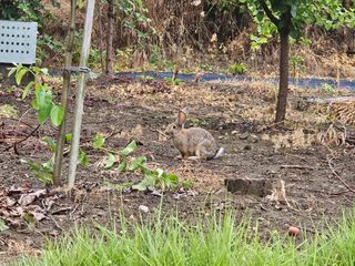김보리님의 자유주제 · 사진전 작성글 사진
