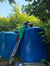 팜모닝 자유주제·자유게시판 게시글 이미지