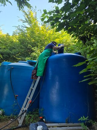 고추농사 정 미라님의 자유주제 · 자유게시판 작성글 사진