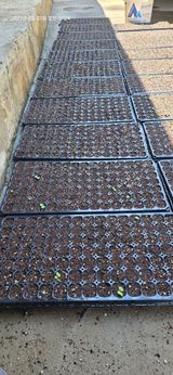 팜모닝 자유주제·자유게시판 게시글 이미지