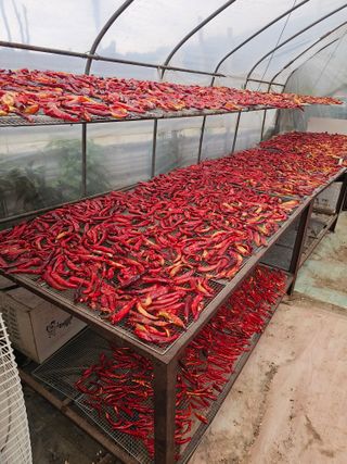 강성산님의 자유주제 · 자유게시판 작성글 사진