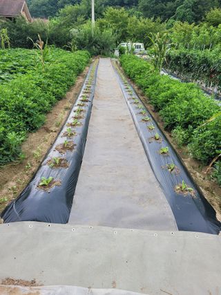 땅땅님의 자유주제 · 자유게시판 작성글 사진