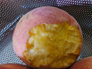 김보리님의 자유주제 · 사진전 작성글 사진