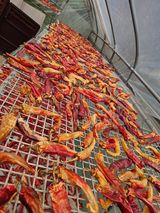 팜모닝 자유주제·자유게시판 게시글 이미지