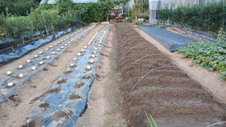 초보텃밭님의 자유주제 · 자유게시판 작성글 사진