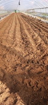 팜모닝 자유주제·자유게시판 게시글 이미지