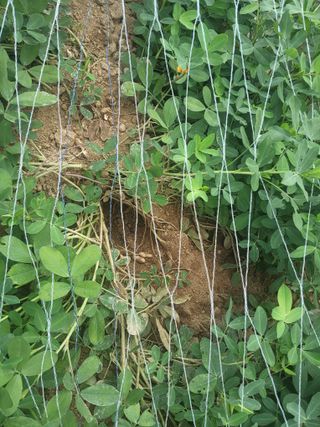 김진원님의 자유주제 · 자유게시판 작성글 사진