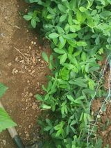 팜모닝 자유주제·자유게시판 게시글 이미지