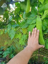 팜모닝 자유주제·자유게시판 게시글 이미지