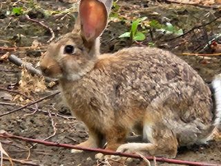 김보리님의 자유주제 · 사진전 작성글 사진