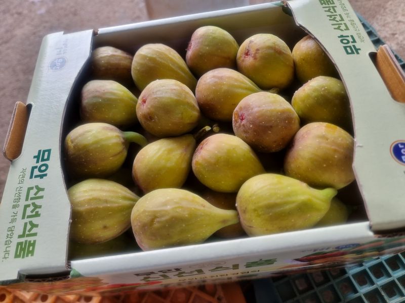 기승서님의 장터 판매 상품 [무화과체험] 첨부 사진