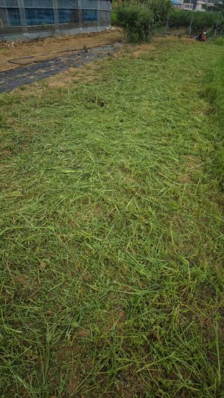 망치님의 자유주제 · 자유게시판 작성글 사진